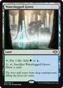 Waterlogged Grove